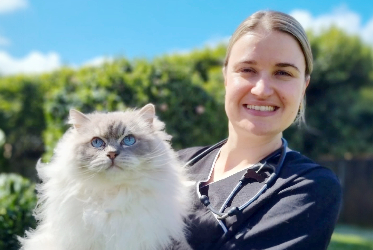 Kohi-PetMed-Claire